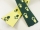 Paw webbing double-sided 25 mm green-yellow