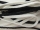 Braided polyester ribbon